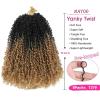 imageNAYOO 14 Inch Yanky Twist Crochet Hair  8 Packs 30 StandsPack Mini Passion Twist with Curly Ends Synthetic PreLooped Crochet Braids Braiding Hair 14 Inch T30T27