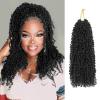 imageNAYOO 14 Inch Yanky Twist Crochet Hair  8 Packs 30 StandsPack Mini Passion Twist with Curly Ends Synthetic PreLooped Crochet Braids Braiding Hair 14 Inch T301B