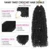 imageNAYOO 14 Inch Yanky Twist Crochet Hair  8 Packs 30 StandsPack Mini Passion Twist with Curly Ends Synthetic PreLooped Crochet Braids Braiding Hair 14 Inch T301B