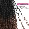 imageNAYOO 14 Inch Yanky Twist Crochet Hair  8 Packs 30 StandsPack Mini Passion Twist with Curly Ends Synthetic PreLooped Crochet Braids Braiding Hair 14 Inch T30T30