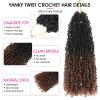 imageNAYOO 14 Inch Yanky Twist Crochet Hair  8 Packs 30 StandsPack Mini Passion Twist with Curly Ends Synthetic PreLooped Crochet Braids Braiding Hair 14 Inch T30T30