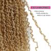 imageNAYOO 14 Inch Yanky Twist Crochet Hair  8 Packs 30 StandsPack Mini Passion Twist with Curly Ends Synthetic PreLooped Crochet Braids Braiding Hair 14 Inch T30T27613