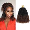 imageNAYOO 14 Inch Yanky Twist Crochet Hair  8 Packs 30 StandsPack Mini Passion Twist with Curly Ends Synthetic PreLooped Crochet Braids Braiding Hair 14 Inch T30T30