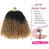 imageNAYOO 14 Inch Yanky Twist Crochet Hair  8 Packs 30 StandsPack Mini Passion Twist with Curly Ends Synthetic PreLooped Crochet Braids Braiding Hair 14 Inch T30T27