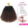 imageNAYOO 14 Inch Yanky Twist Crochet Hair  8 Packs 30 StandsPack Mini Passion Twist with Curly Ends Synthetic PreLooped Crochet Braids Braiding Hair 14 Inch T30T30