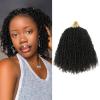 imageNAYOO 14 Inch Yanky Twist Crochet Hair  8 Packs 30 StandsPack Mini Passion Twist with Curly Ends Synthetic PreLooped Crochet Braids Braiding Hair 14 Inch T304
