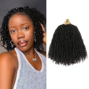 imageNAYOO 14 Inch Yanky Twist Crochet Hair  8 Packs 30 StandsPack Mini Passion Twist with Curly Ends Synthetic PreLooped Crochet Braids Braiding Hair 14 Inch T304