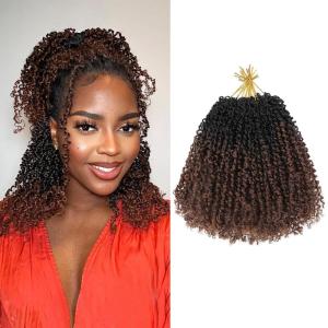 imageNAYOO 14 Inch Yanky Twist Crochet Hair  8 Packs 30 StandsPack Mini Passion Twist with Curly Ends Synthetic PreLooped Crochet Braids Braiding Hair 14 Inch T30T30