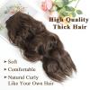imageNAYOO Chocolate Brown Clip in Long Wavy Hair Extensions for Women 4PCS Curly Synthetic Thick Hairpieces with Fiber Double Weft Hair Full Head20 inch Chocolate Brown