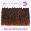 image:imageGoddess Box Braids Crochet Hair12 Inch Boho Crochet Hair for Women 8PK Pre Looped Boho Crochet Braids with Curly Ends1B30271B350