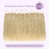 image:imageGoddess Box Braids Crochet Hair12 Inch Boho Crochet Hair for Women 8PK Pre Looped Boho Crochet Braids with Curly Ends1B3027613