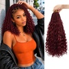 Burgundy Wine Red