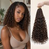 Chocolate Auburn Highlights
