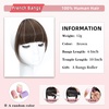 image:imageNAYOO Bangs Hair Clip Ash Blonde Fake Bangs 100 Real Human Hair Extensions Wispy Bangs for Women Fringe with Temples Hairpieces Curved Bangs for Daily WearBrown