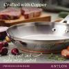 imageAnolon Nouvelle Copper FryingFry PanSkillet Set 95 Inch Stainless Steel and 1025 Inch Hard Anodized NonstickSkillet 12